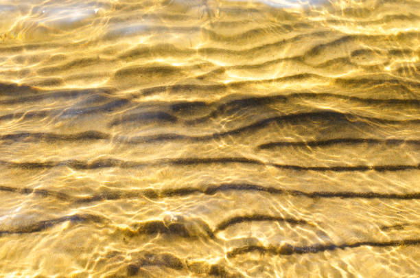 istock Sandy lake bottom in crystal clear water in summer on a bright Sunny day. 1153317249