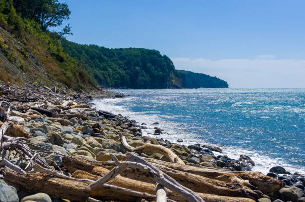 istock rocky sea shore with pebble beach, waves with foam 1153318005