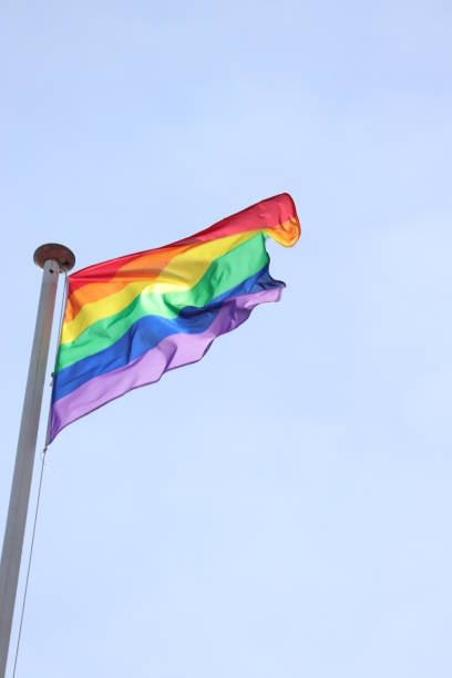 istock Gay pride rainbow flag 1153319579