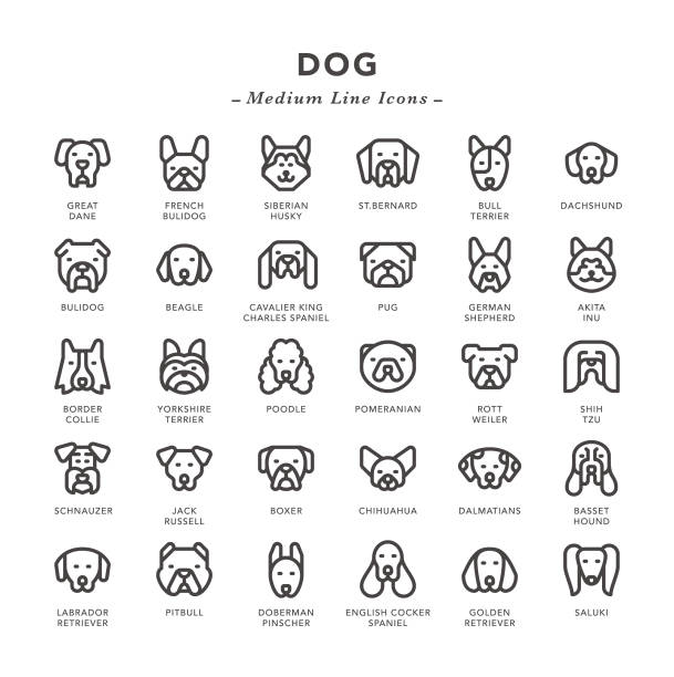ilustraciones, imágenes clip art, dibujos animados e iconos de stock de dog-iconos de línea media - shih tzu cute animal canine
