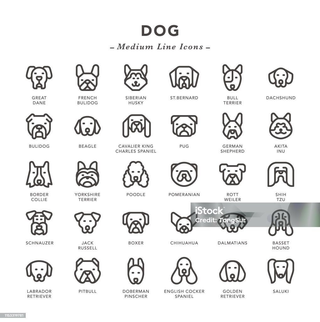 Dog - Medium Line Icons Dog - Medium Line Icons - Vector EPS 10 File, Pixel Perfect 30 Icons. Dog stock vector