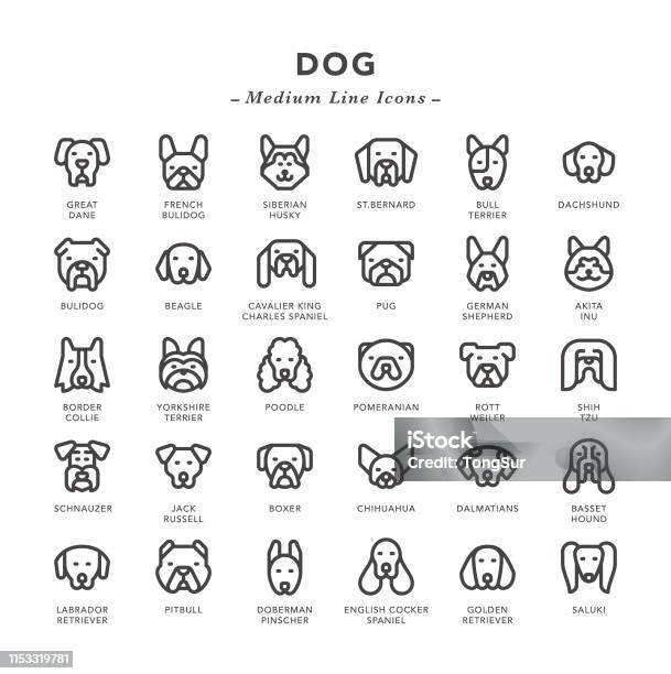 Dog Medium Line Icons Stock Illustration - Download Image Now - Dog, Icon Symbol, Illustration