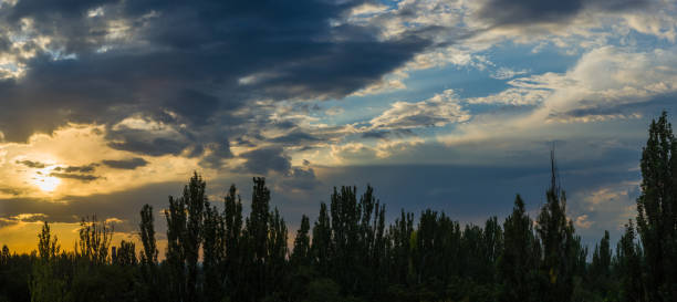 Landscape with dramatic light - beautiful golden sunset with saturated sky and clouds, peaceful nature serene background.