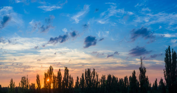 Landscape with dramatic light - beautiful golden sunset with saturated sky and clouds, peaceful nature serene background.