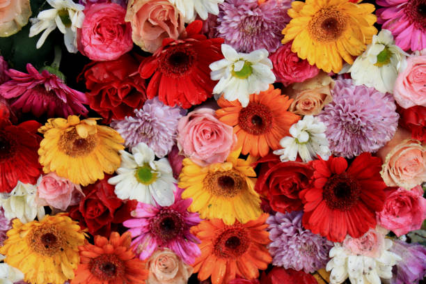 istock Colorful wedding flower arrangement 1153330955
