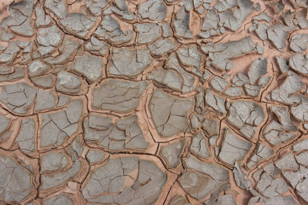 istock Texture of dry cracked earth 1153332259
