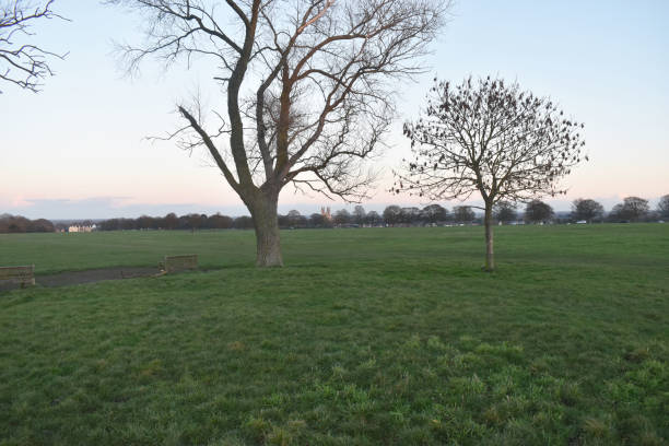 istock Trees and green grass, Beverley Minster,  Beverley - East Yorkshire 1153341088