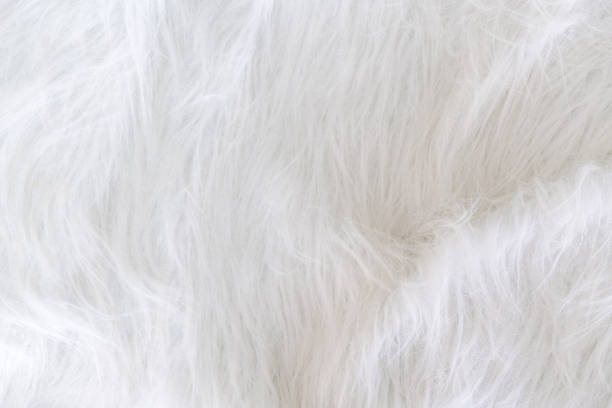 istock Close up white fur texture or carpet for background 1153344531