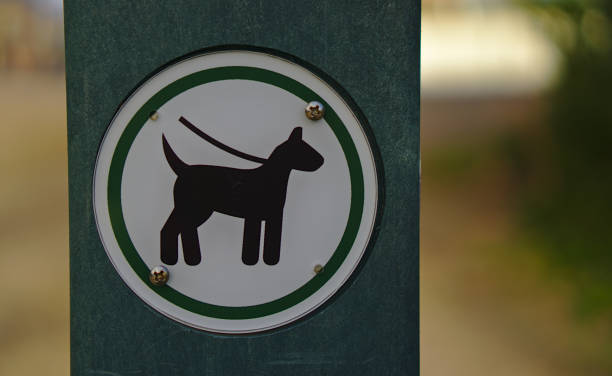 istock Dogs must be on leash sign 1153344985
