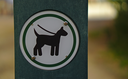 Dogs must be on leash sign on dark green bollard