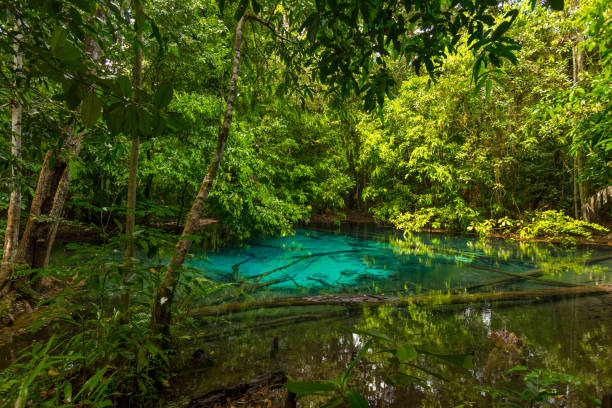 istock Emerald Pool (Sra Morakot) in Krabi province, Thailand. 1153350217