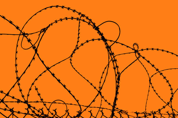 Coils or Circles of Razor Wire Coils or circles of  razor wire on an easily changed orange background. fascism photos stock pictures, royalty-free photos & images
