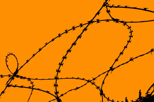 istock Coils or Circles of Razor Wire 1153350466