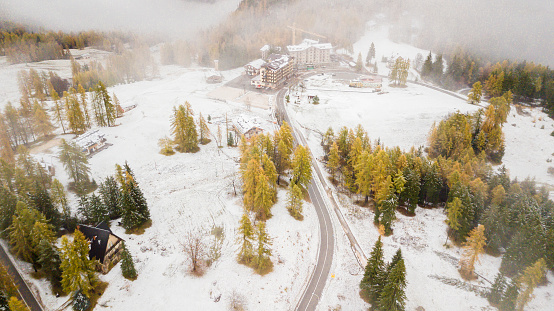 drone aerial view of dolomites winter pine tree forest winter season with fog and snow beautiful landscape of italy mountain