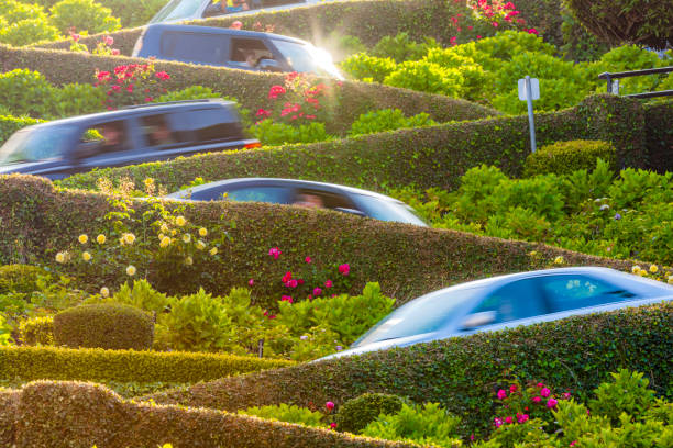 san francisco bay area in california - lombard street city urban scene city life imagens e fotografias de stock