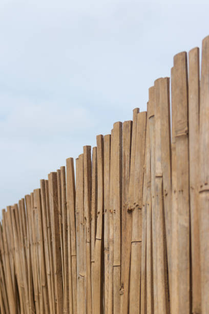 istock Bamboo fence was arranged in vertical line 1153358959