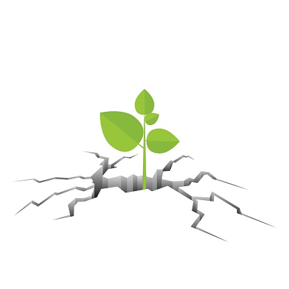 Green plant growing out from the cracked ground vector illustration