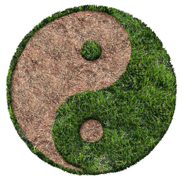 istock Lawn Care Symbol 1153361834