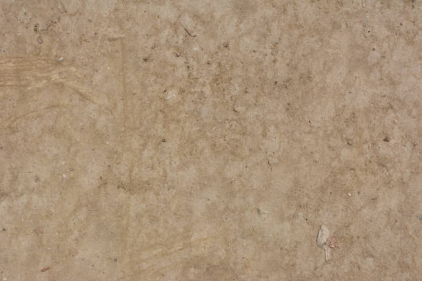 istock Texture of mud and wet soil 1153364216