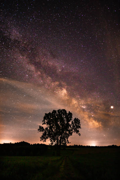 istock The summer Milky Way in Weissenhorn, Germany - Tree in front 1153367273