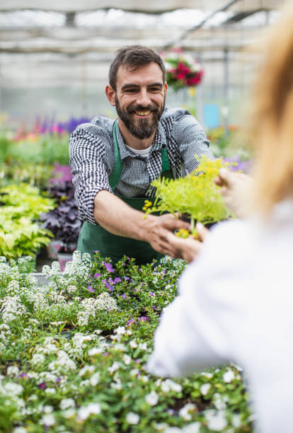 istock Garden Center Employees Working 1153367372