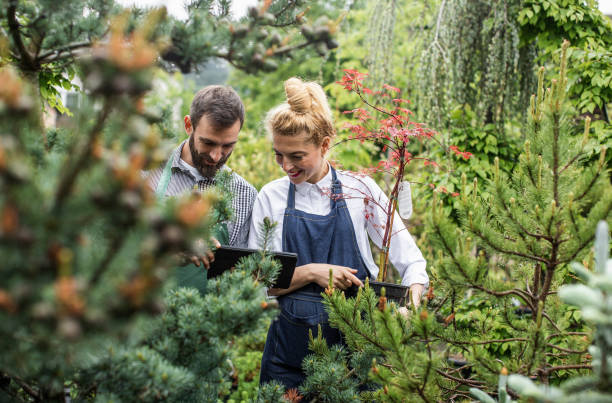 Two Employees Working at the Garden Center
