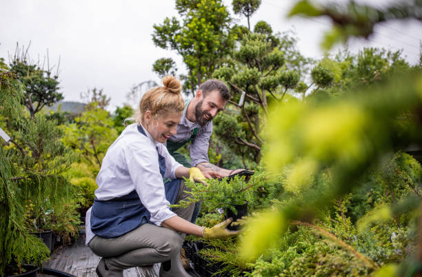 istock Two Employees Working at the Garden Center 1153370959