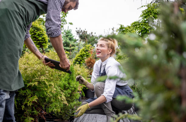 istock Two Workers Working at The Garden Center 1153371203
