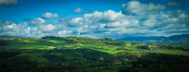 istock The field in south Italy 6 1153371396