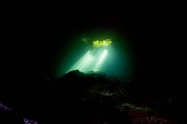 istock Cave diving in mexican cenotes 1153374032