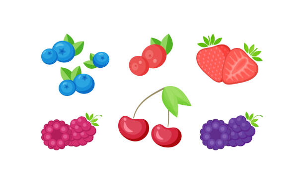 ilustraciones, imágenes clip art, dibujos animados e iconos de stock de bayas frescas aisladas con colección de rodajas - blackberry blueberry raspberry fruit