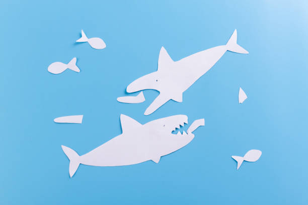 istock Huge grate big shark character attack small human 1153374760