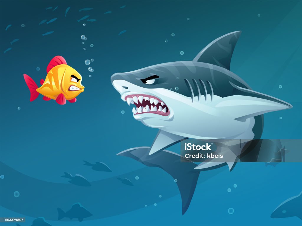 Brave Little Fish Confronting Shark Vector illustration of a brave little fish confronting a terrifying shark in the sea. Concept for bravery, confidence, mergers and aquisitions, conflicts, bullying, sea life, danger, risk, confrontation and determination. Great White Shark stock vector