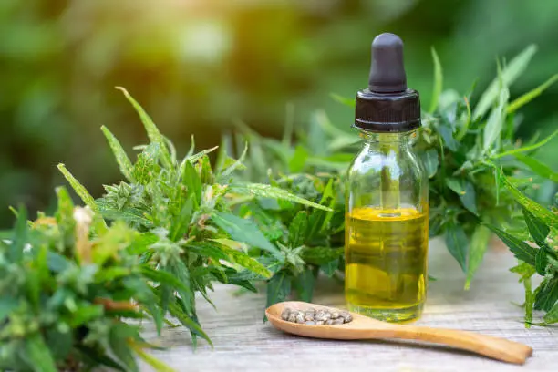 Hemp oil, Medical marijuana products including cannabis leaf,  cbd  and hash oil, alternative medicine