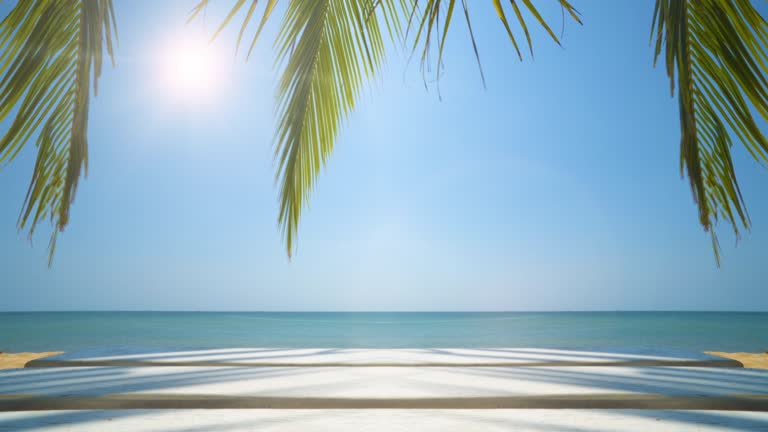 Tropical Island Vacation Idyllic Background Exotic Beach And Palm ...