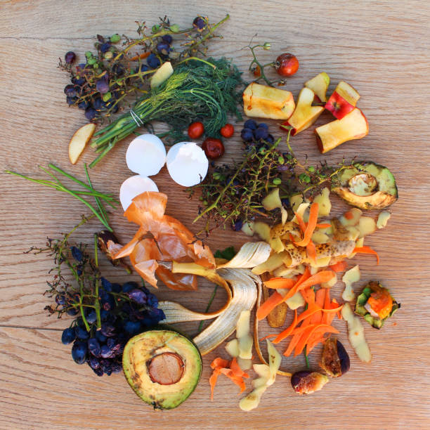 istock Domestic waste for compost from fruits and vegetables on the table. 1153376243