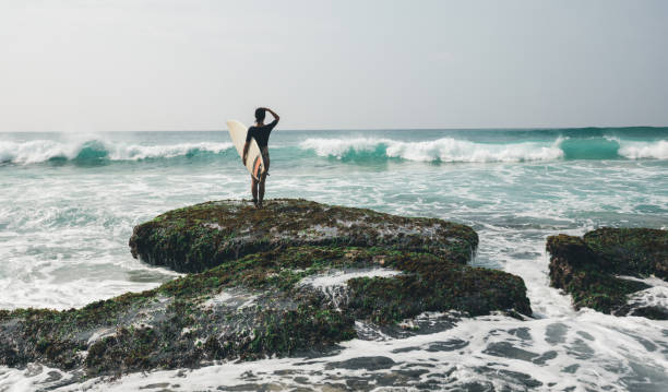 서핑 하는 서핑 보드와 여자 서퍼 - wave reef rock summer 뉴스 사진 이미지