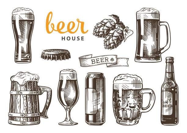 beer sketch set 2 Set of beer glasses, mugs, ribbon, bottle, and hop. Beer house. Vintage vector engraving illustration for web, poster, invitation to party. Hand drawn design element isolated on white background. german culture illustrations stock illustrations