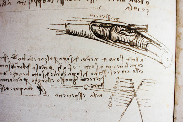 istock Bird bones, manuscripts in the vintage book Manuscripts of Leonardo da Vinci 1153383657