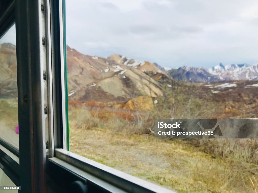 Sightseeing by Denali National Park and Preserve tour bus Adventure Stock Photo