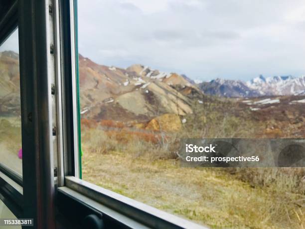 Sightseeing By Denali National Park And Preserve Tour Bus Stock Photo - Download Image Now