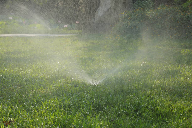 istock Garden Irrigation system spray watering lawn in park 1153385368