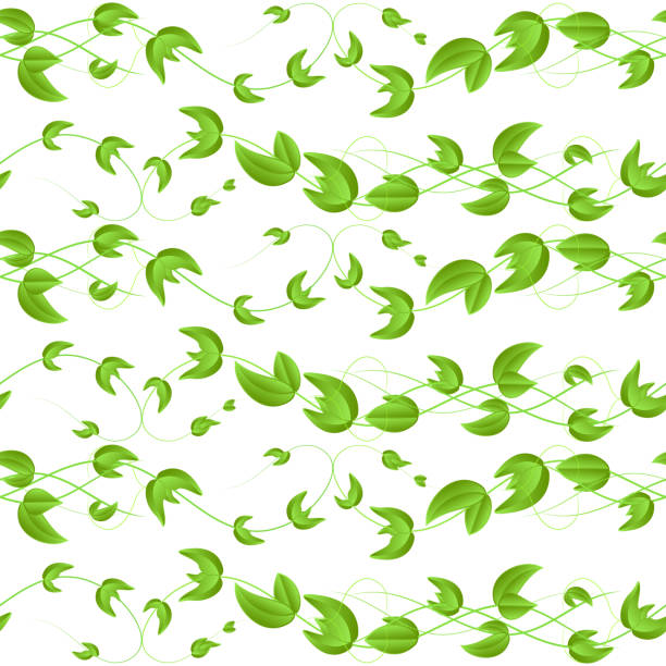 Ivy Header Vector 110+ Ivy Header Stock Photos, Pictures & Royalty-Free Images - iStock