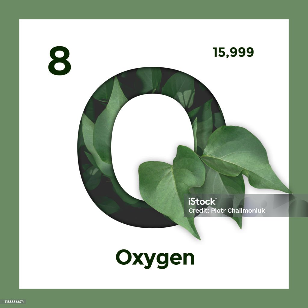 O2산소 기호 화학 현대 텍스트와 창조적 인 타이포 그래피 녹색 잎 자연 개념 디자인입니다 Mendeleev의 테이블 원자 번호 ...