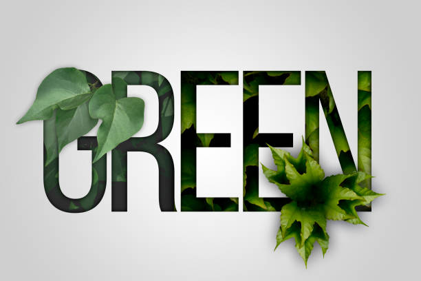 istock Green lettering. Modern text and creative typography. Nature concept design with leaves. Design print for t-shirt,, badges, sticker, greeting card, banner, posters, flyers. 1153386675