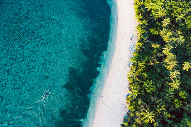 istock Top down view of tropical landscape 1153388252