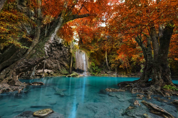 istock Scenic View Of Waterfall In Forest 1153388383
