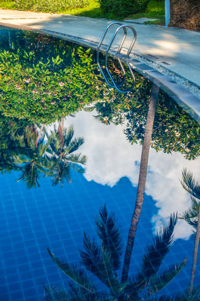 istock Reflection Of Palm Trees And Sky In Swimming Pool 1153390142