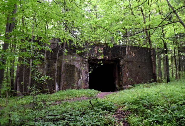 istock A view of a massive abandoned WWII bunker or bomb shelter covered with moss and surrounded with trees located in the middle of a dense forest near a dirt path without entrance door seen in spring 1153390385