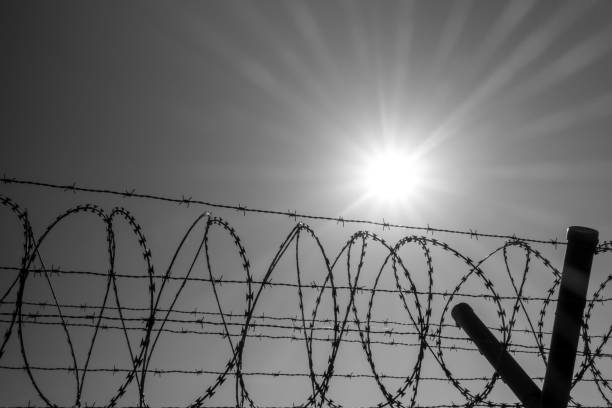 istock Low Angle View Of Silhouette Barbed Wire Against Sky During Sunny Day 1153391577